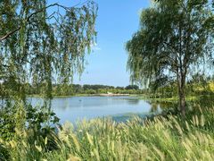 -东郊湿地公园