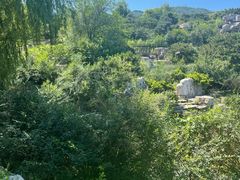 -北京西山国家森林公园