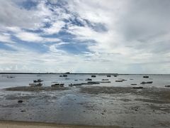 -北海金海湾红树林生态旅游区
