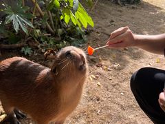 -宁波野生动物园