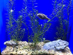 -上海海洋水族馆