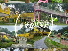 -森波拉奇妙世界