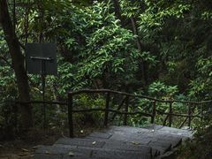 -火炉山森林公园