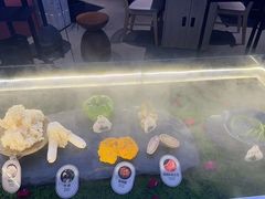 -芸山季·云南山珍菌火锅(宝能环球汇店)