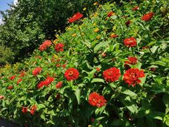 -长春公园(普阳街道)