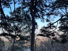 -阳台山自然风景区