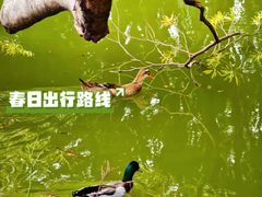 -广州雕塑公园
