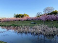 -石湖景区