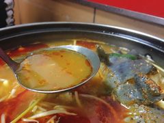 -弘烨 贵州酸汤 鱼火锅(东财店)