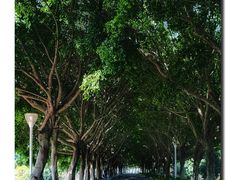 -风云岭森林公园