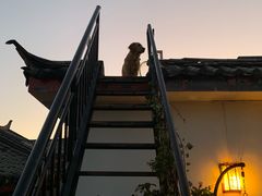 -浔岚云舍mist静谧观景美宿(丽江古城店)