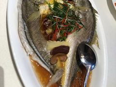 -香港狮子山下·明星粤菜餐厅(北苑店)