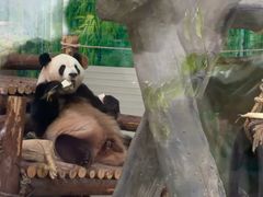 -灵玲国际马戏城