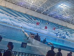 -蓬莱欧乐堡海洋极地世界