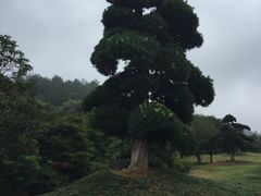 -韶山毛泽东同志故居