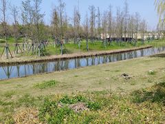-纽斯桑拿会所(东绣路店)