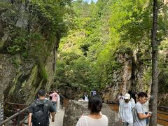 -茅兰沟国家森林公园