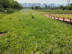 -汉长安城未央宫国家考古遗址公园