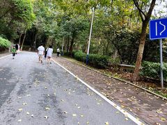-火炉山森林公园