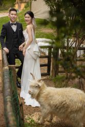 -花漾摄影优选工作室(东莞原创作品店)