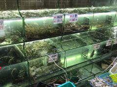 -覃记海鲜美食餐厅