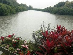 -大湾区中央湿地公园