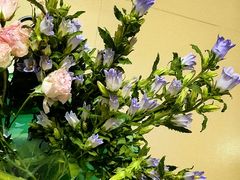 -安琪盲人按摩调理草本熏蒸馆(风和日丽店)