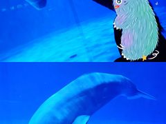 -海合安青岛极地海洋公园