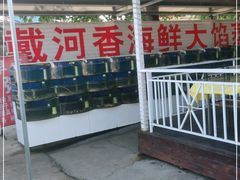 门面-叶存利海鲜大馅饺子(东戴河止锚湾店)