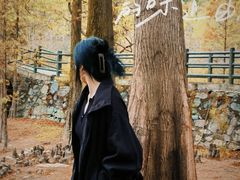 -天花井景区