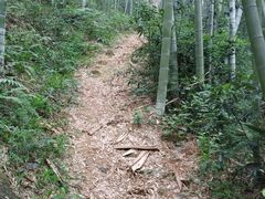 -山沟沟景区