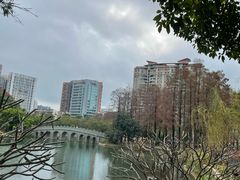-四海公园(南山区)