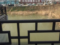 -泗洪洪泽湖湿地景区