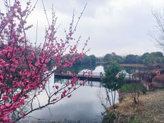 -西溪国家湿地公园