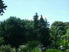 -悉尼歌剧院