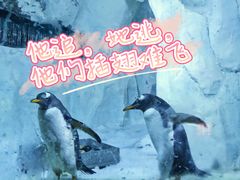 -南昌海洋公园