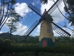 -美的鹭湖森林度假区