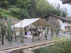 -MOJ coffee(瓯海泽雅水碓坑店)