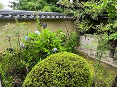 -天龙寺