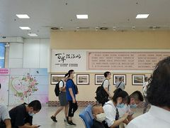 -厦门邮轮中心厦鼓码头(轮渡站)