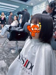 -YESIDO椰岛造型