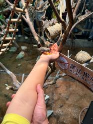 -Zoolung Zoolung动物主题公园(海信广场店)