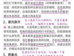 -西双版纳总佛寺