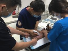 -奈斯宠物医院·核磁CT·异宠专科·内镜(中南店)
