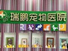 -瑞鹏·疫苗·绝育·宠物医院(金沙洲店)