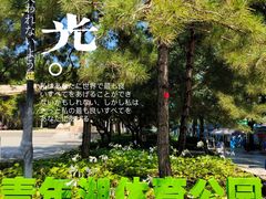 -青年湖公园水上世界