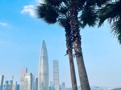 -深圳人才公园