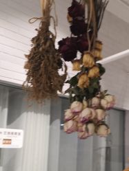 -OM瑜伽教练培训学院