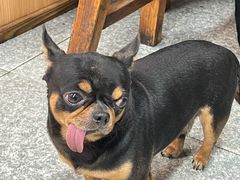 -十二道丰味·徐州土菜·烧烤(何山路店)