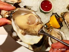 -Oyster Talks 四度蚝法餐厅